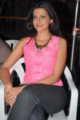 Bhai Triple Platinum Disc Function